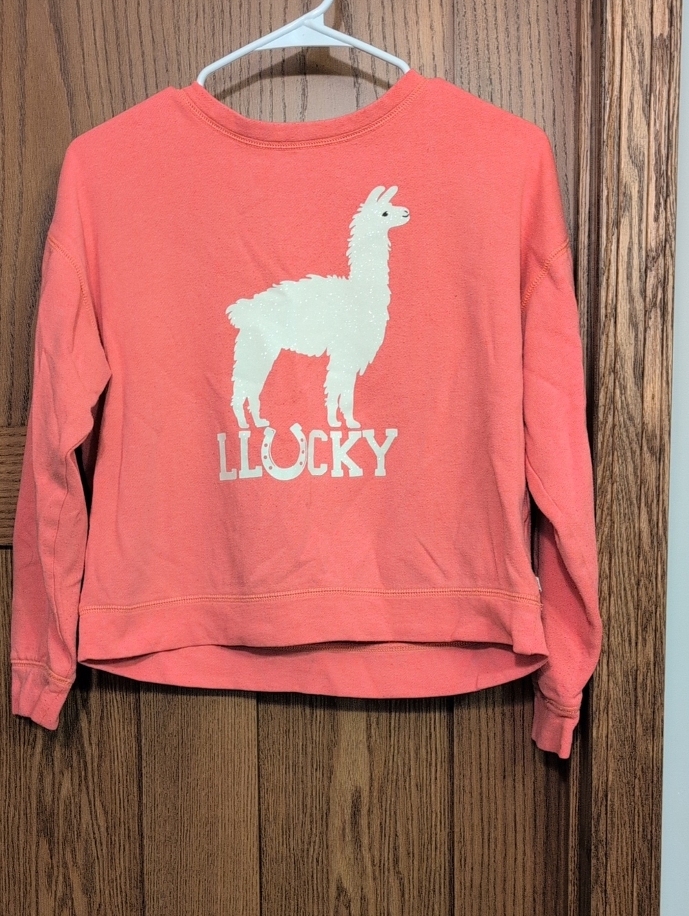 GAP Kids Coral Pink Crewneck Sweatshirt